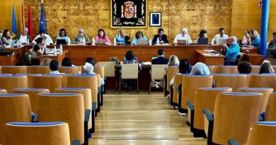 PLENO MAYO