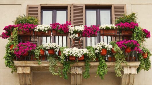 balcones-floridos galapagar