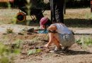 JARDÍN TERAPÉUTICO LAS ROZAS 2