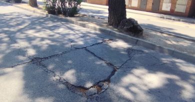 AVENIDA DEHESA 10