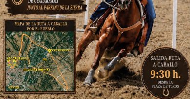 DIA DEL CABALLO