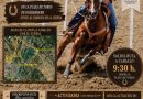 DIA DEL CABALLO