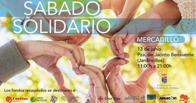 Cartel-Sábado-solidario-2026--web