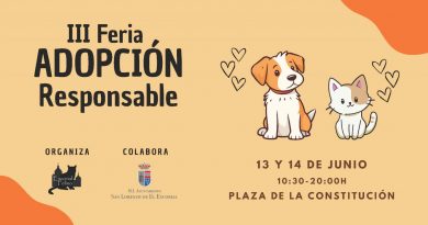 BANNER -FERIA-ADOPCIÓN-RESPONSABLE