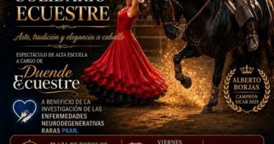 Espectaculo-Ecuestre-en-Moralzarzal.-OleMoral-2026