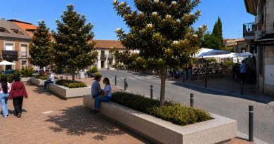simulación proyecto ordenacion Plaza de la Constitución