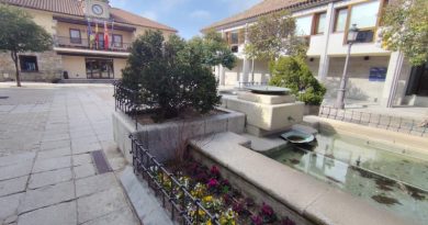 ayuntamiento 5