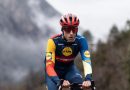 carlos-verona-lidl