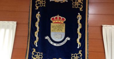 salon-plenos-Moralzarzal-4-698x500