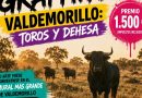 Concurso de Graffiti Taurino 02