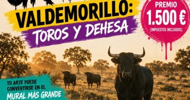 Concurso de Graffiti Taurino 02