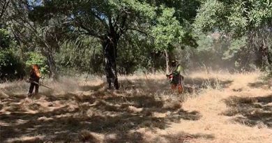 desbroce-guadarrama