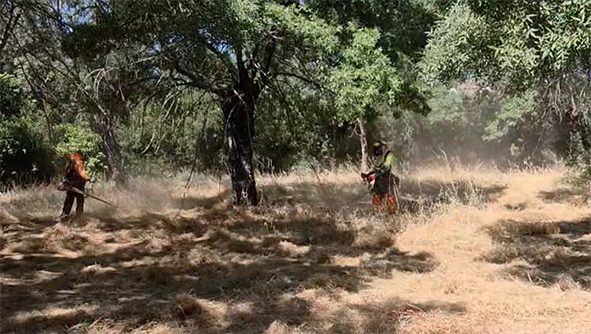 desbroce-guadarrama