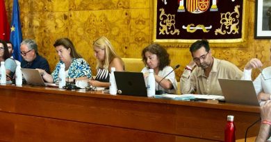 pleno-768x576