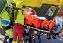 herido becerril