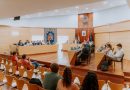 Pleno-6