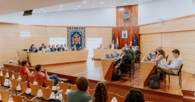 Pleno-6