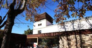 peñalba 2 (1)