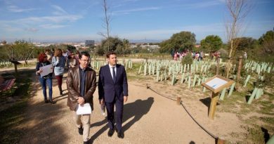 TALAVERONA-1