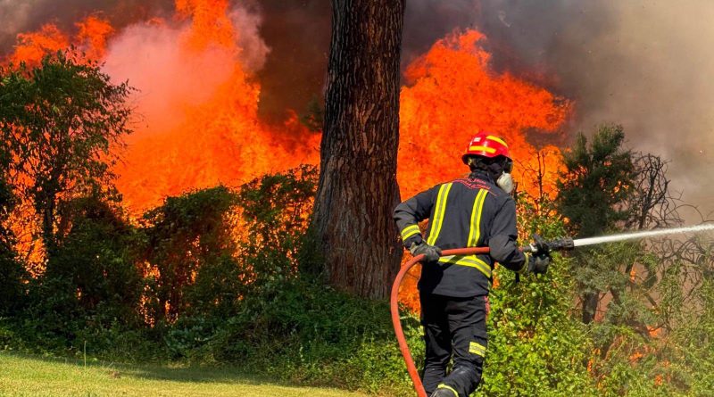 fuego sierra oeste