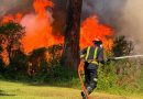 fuego sierra oeste