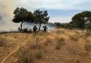 incendio cofio