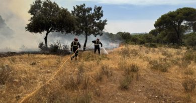incendio cofio