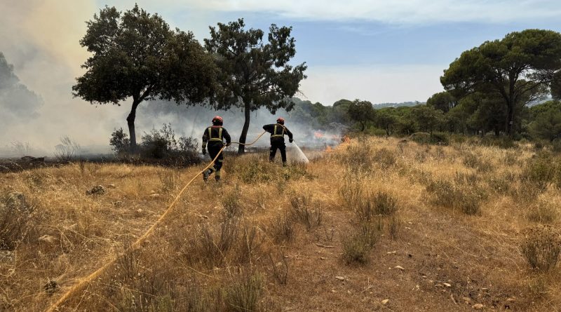 incendio cofio