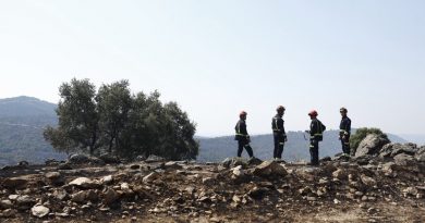 incendio sierra oeste 12