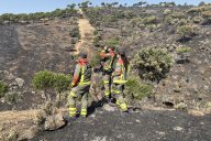 incendio sierra oeste nivel 0