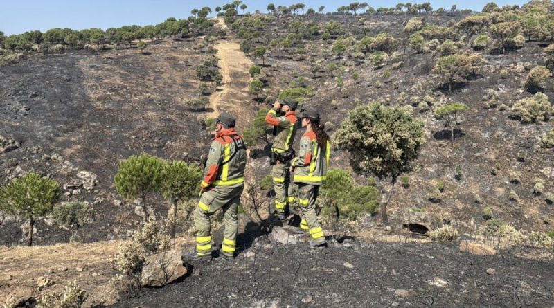 incendio sierra oeste nivel 0
