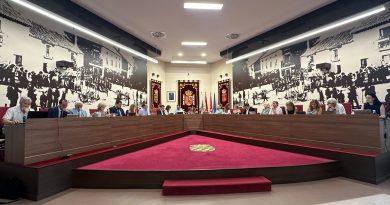 pleno ayuntamiento