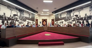 pleno ayuntamiento
