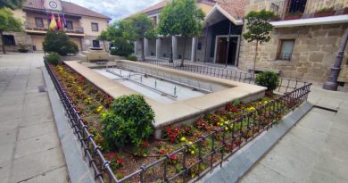 fuente plaza constitucion (5)