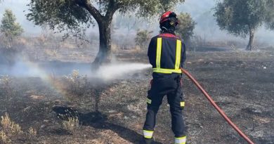 incendio aldea fresno 32