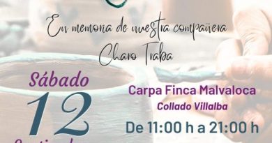 VI Encuentro Artesano