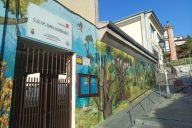 Puesta a punto de los coles curso 26-27