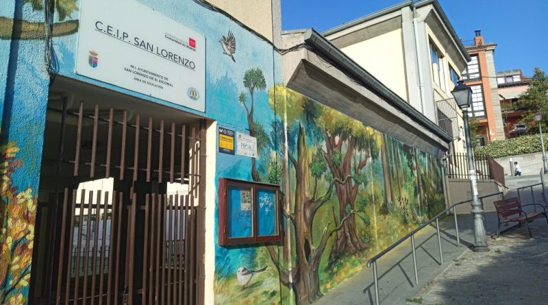 Puesta a punto de los coles curso 26-27