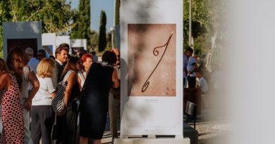 CÁMARA EN MANO LAS ROZAS (2)