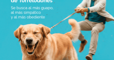 domingo-de-perros-cartel