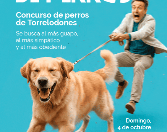 domingo-de-perros-cartel