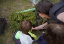 EDUCACIÓN AMBIENTAL LAS ROZAS