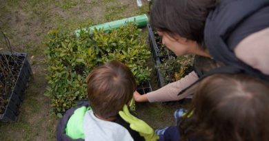 EDUCACIÓN AMBIENTAL LAS ROZAS