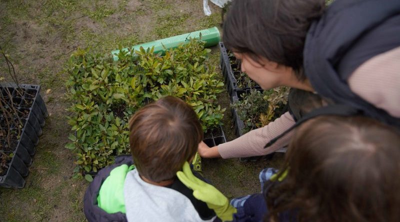 EDUCACIÓN AMBIENTAL LAS ROZAS