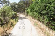 calle Mandril