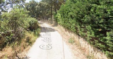 calle Mandril