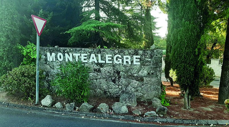 montealegre