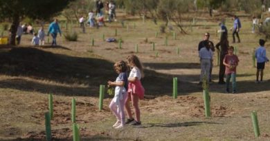 PLANTACIÓN LAS ROZAS