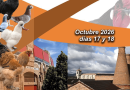 adaorzoce 2026 valdemorillo