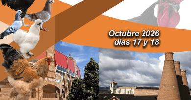 adaorzoce 2026 valdemorillo